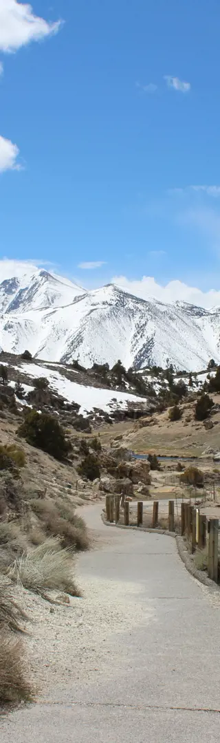 Im Inyo National Forest